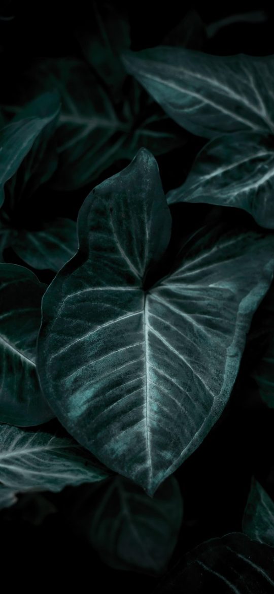 h5小游戏 App 游戏运行界面，手机竖屏中正在进行一局休闲小游戏，画面色彩明快，底部操作按钮与暂停入口排列规整，沉浸感强